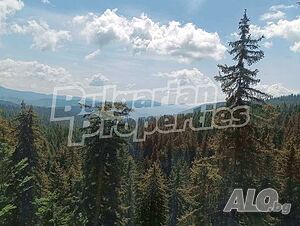 image_8