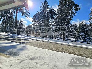 image_5