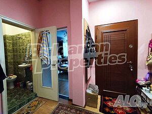 image_11