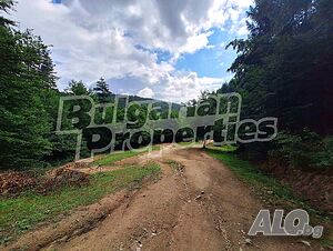 image_2