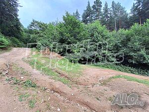 image_7