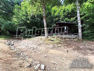 image_10
