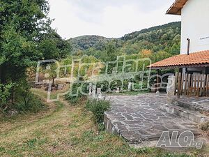 image_14