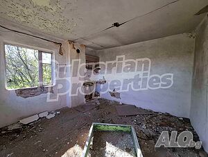 image_11