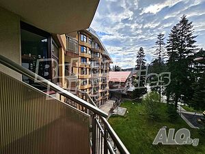 image_11