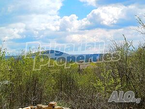 image_6