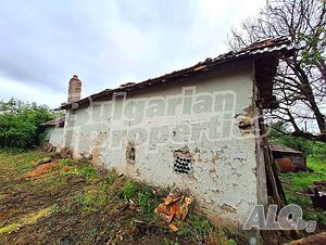 image_10