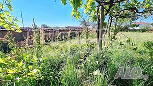 image_15