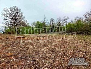 Регулиран парцел на 17 км от Велико Търново