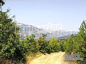 image_5