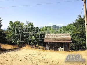 image_7