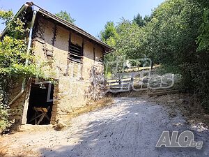 image_9