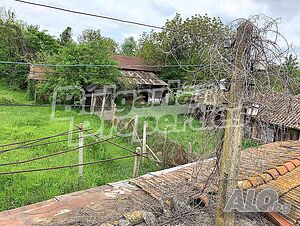 image_12