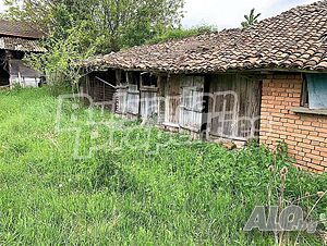 image_15