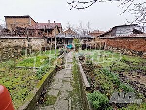 image_6