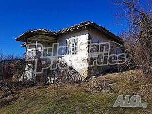 image_11