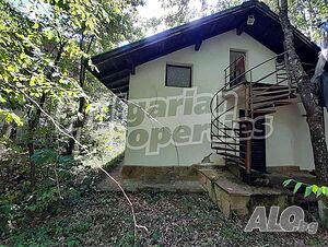 image_3