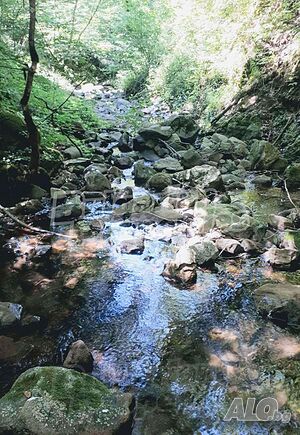 image_6