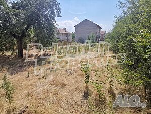 image_7