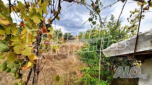 image_12