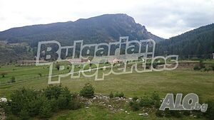 image_9