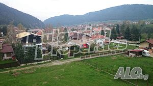 image_11