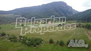 image_13
