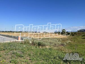 image_6