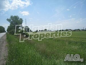 image_8