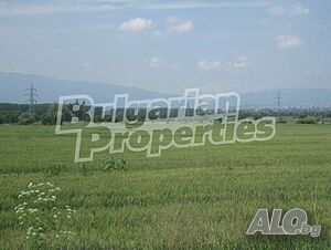 image_11