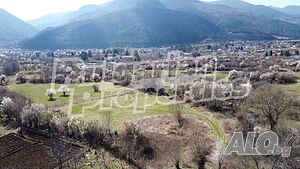 image_6