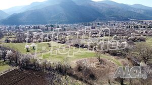 image_7