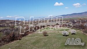 image_9
