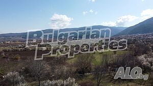 image_11