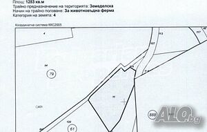 image_9