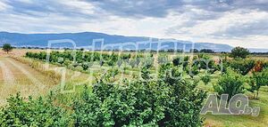 Голяма овощна градина с капково напояване близо до Пловдив