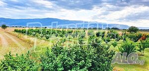 Голяма овощна градина с капково напояване близо до Пловдив