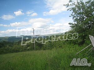image_9