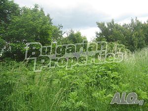 image_12