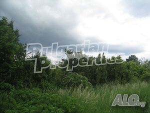 image_15