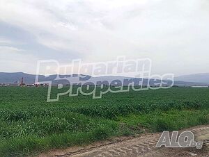 image_6