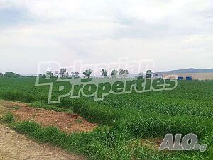image_7