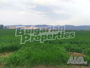 image_8
