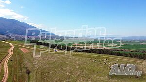 image_7