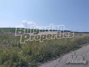 image_3
