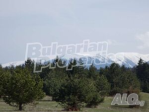 image_10