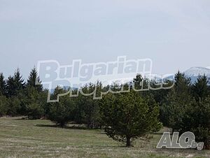 image_11