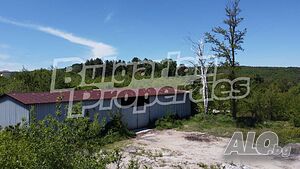 image_3