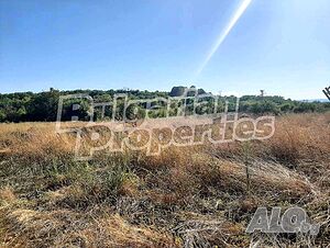 image_11
