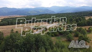 image_9